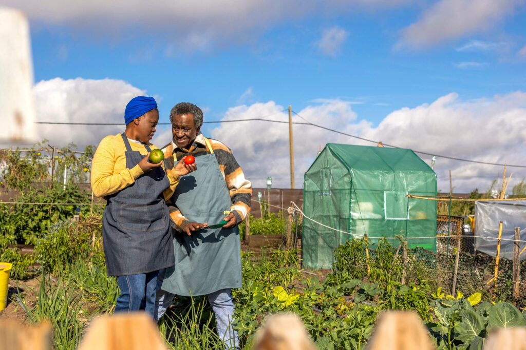 Socio-Economic initiatives | Agriculture - Food Gardens